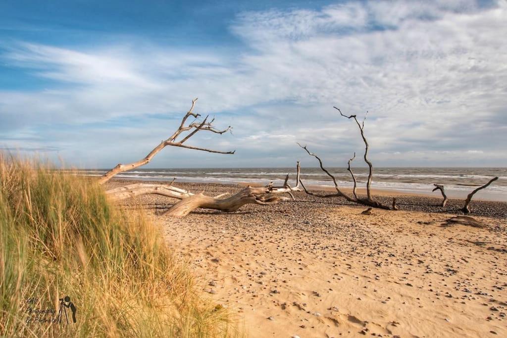Covehithe House-Coastal Luxury- Sleeps 12-With Huge Swimspa! Wrentham Bagian luar foto